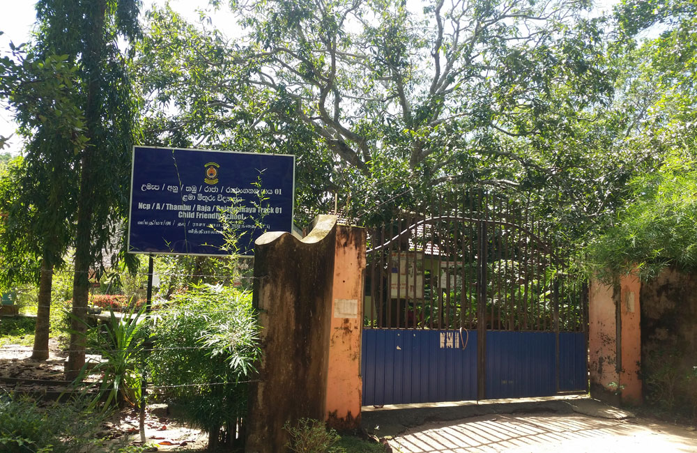  රාජාංගනයේ "වන අරණ" සෞභාග්‍යයේ දැක්මට බිලි වෙයි ද ?