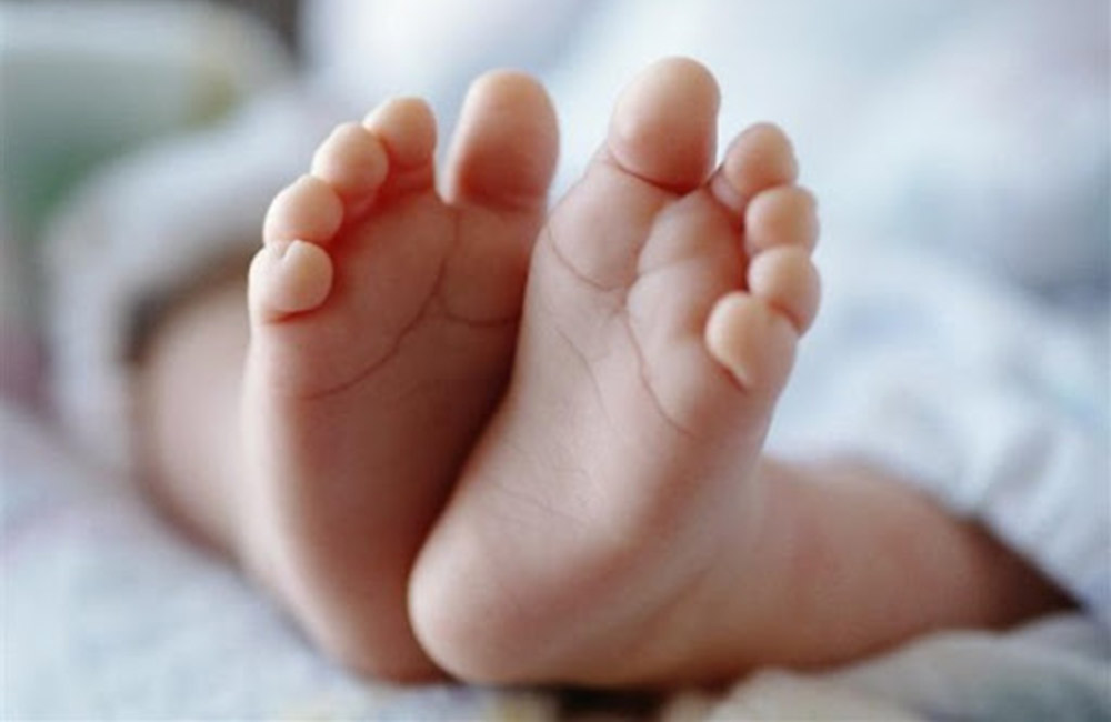 කොවිඩ් ආසාදිත ගැබිනියට දාව උපන් බිළිඳා සුවෙන් !