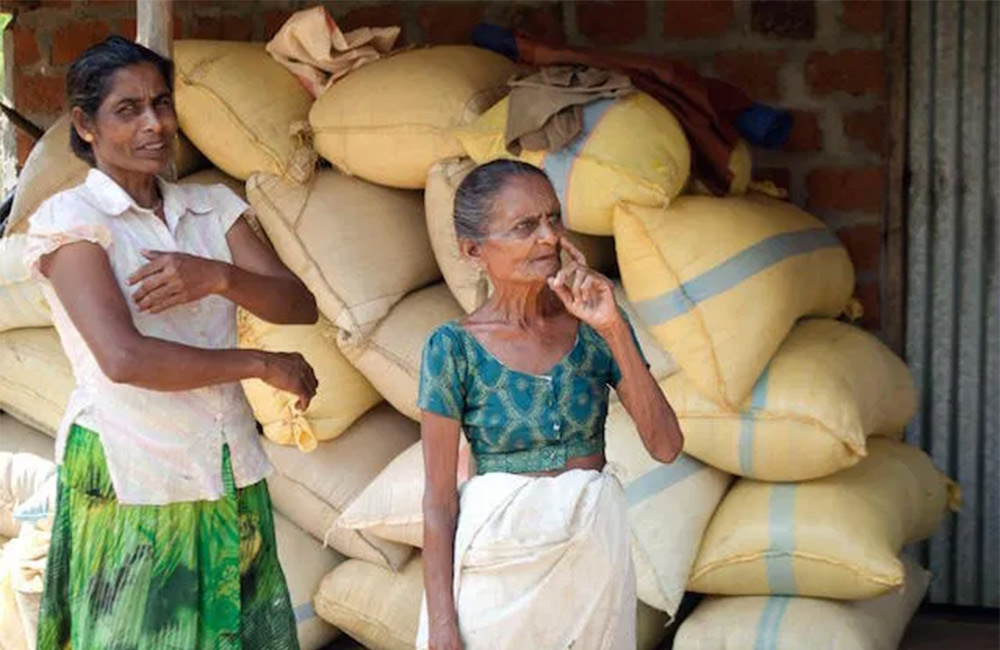 වී මිලදී ගැනීමටත් හමුදාව දාලා !