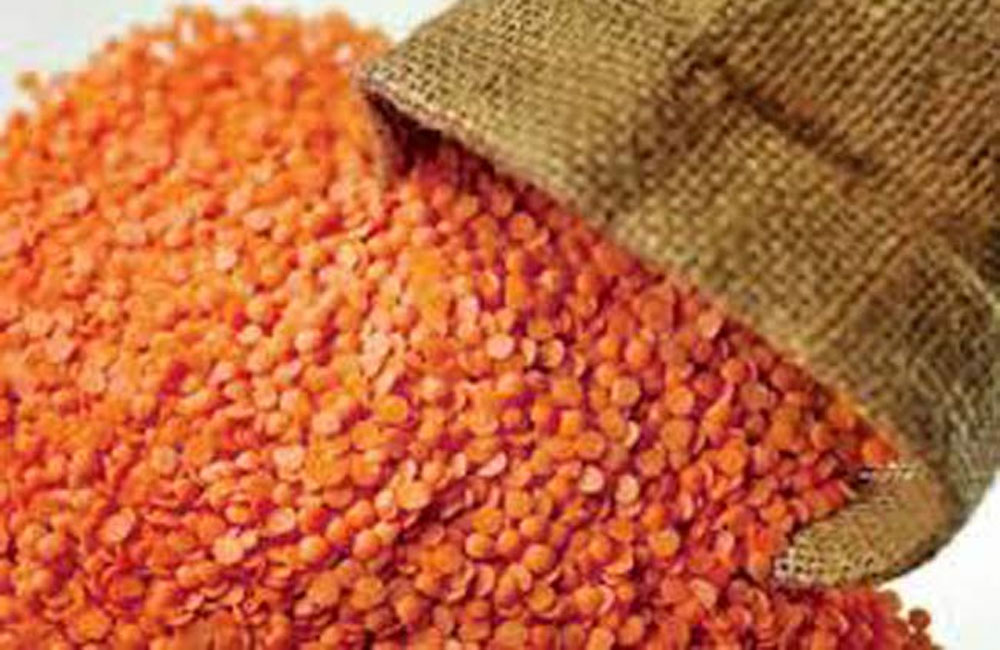 වැලිගම සමුපකාරේ : පරිප්පුවලිනුත් ඇල්ෆාටොක්සීන් හමුවෙලා !