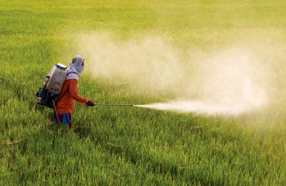 Первые пестициды. Пестициды. Пестициды это. Пестициды и дети. Пестициды картинки.