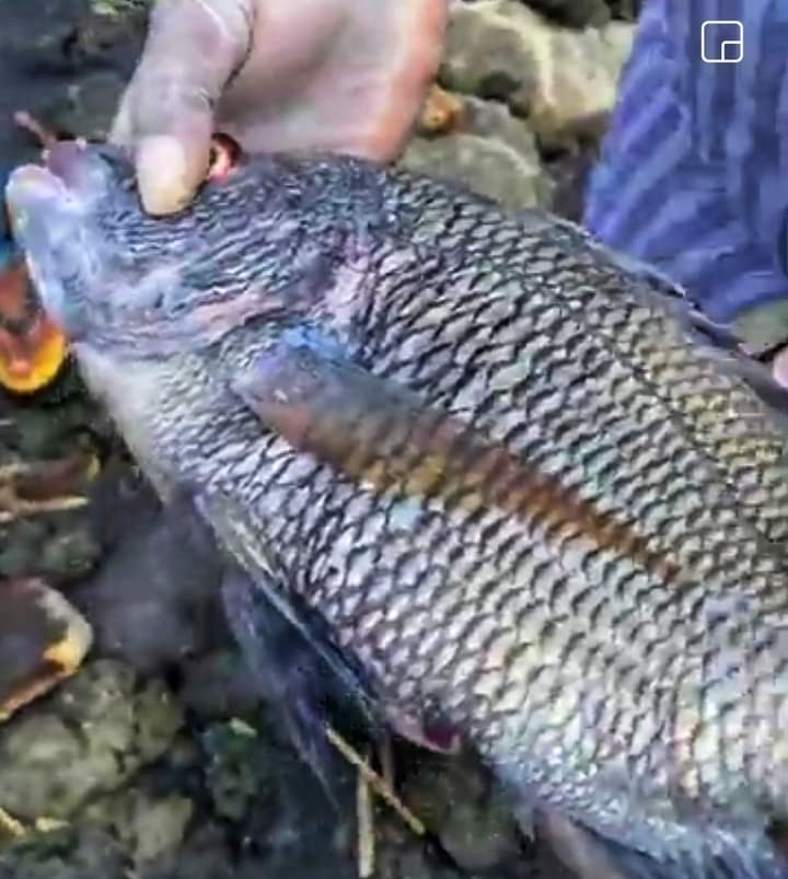 4a52d612 7b72 4bae 9093 38ad87dec161