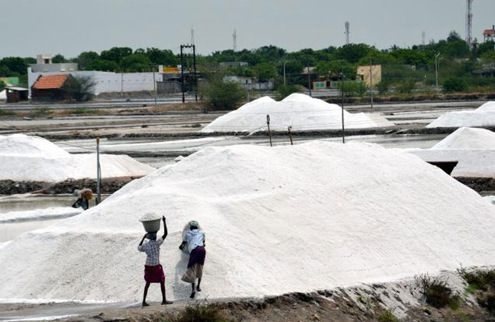 ලුණු මිල අඩු කරයි
