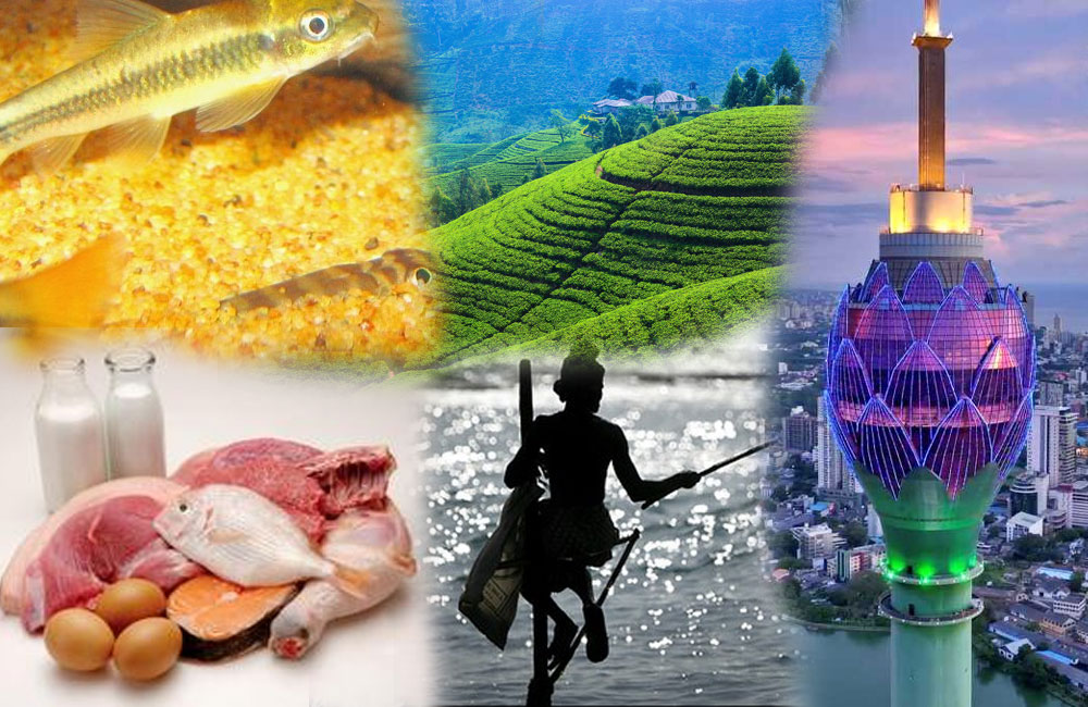 2025 දෙවන කාර්තුවේ මෙරට ආර්ථිකයේ වෙනසක්