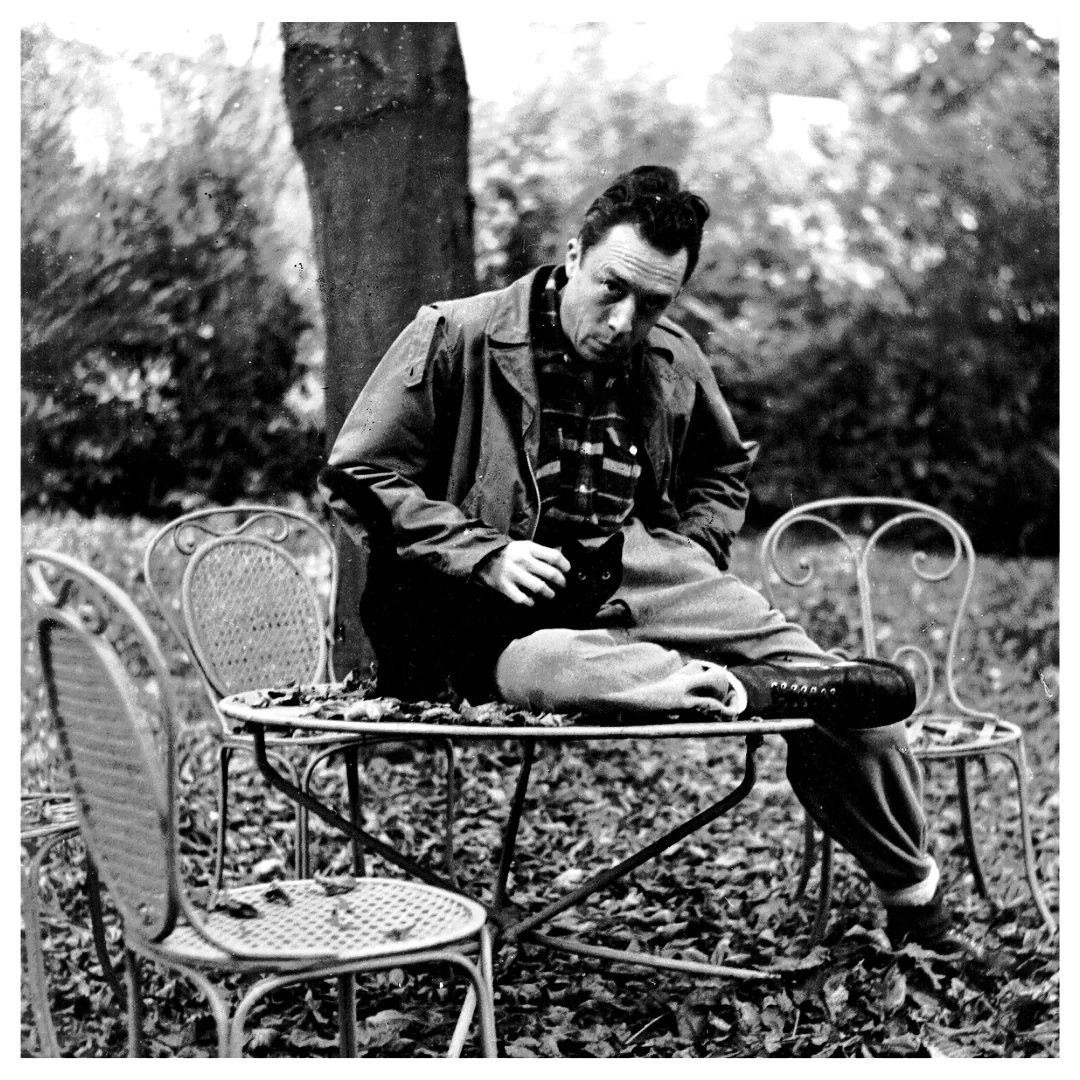 543433369 682800801512765 2729037960587570986 n