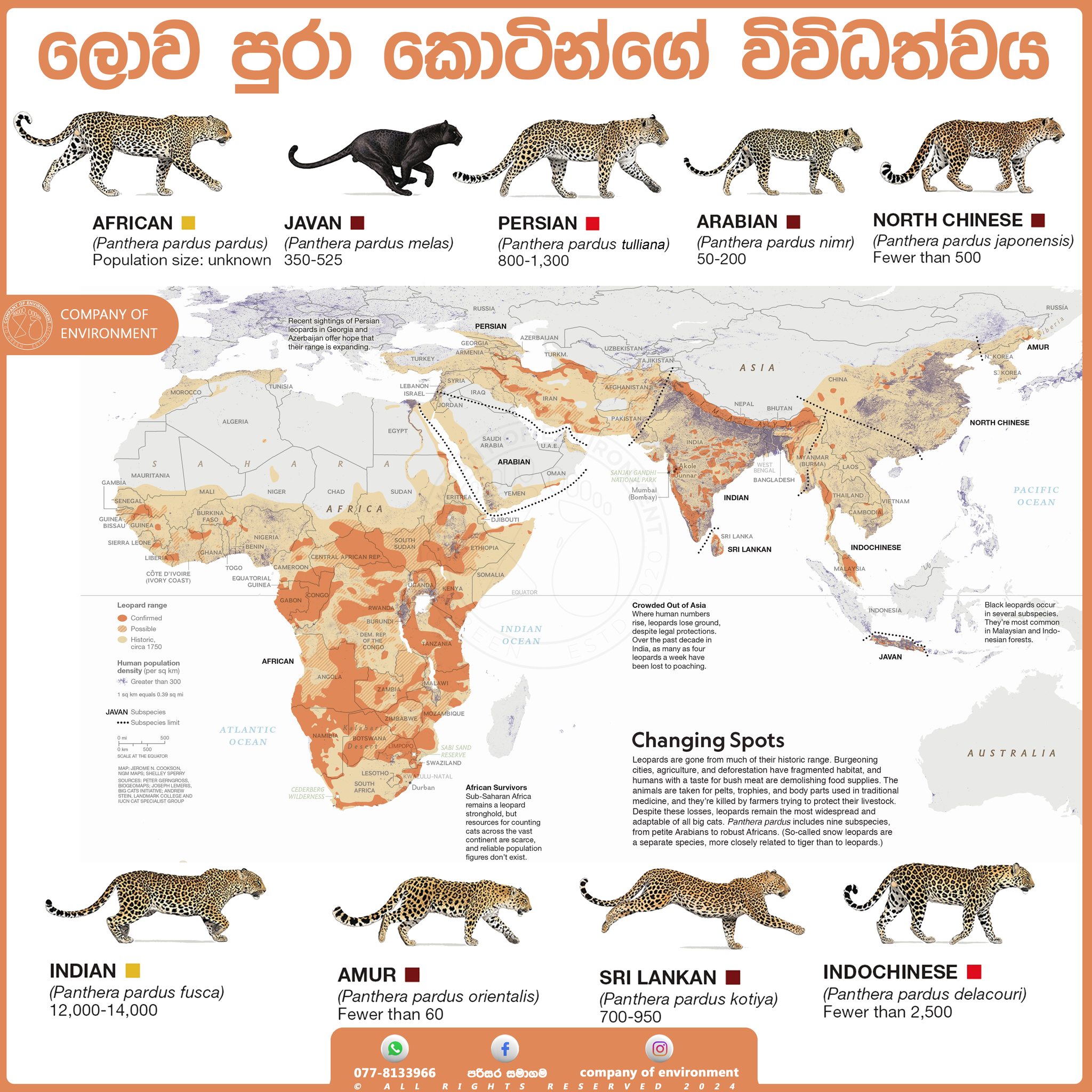 486643544 1145253030946743 8805237136021105459 n