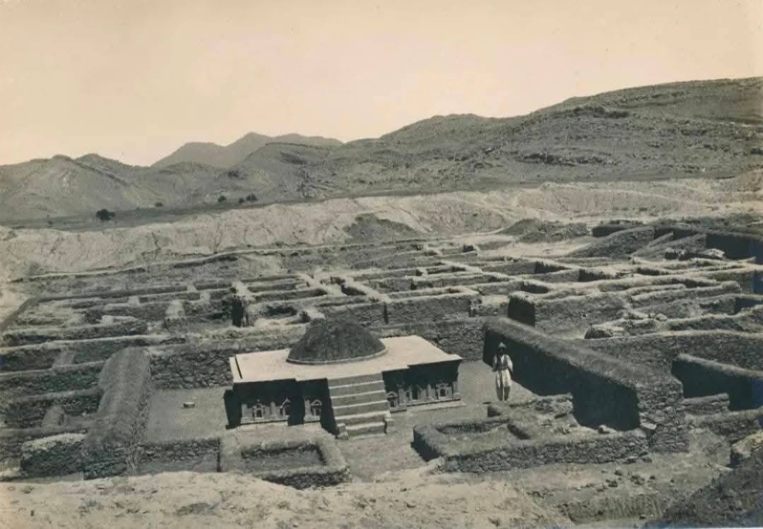 520434801 2457610367941726 4177111797235903910 n