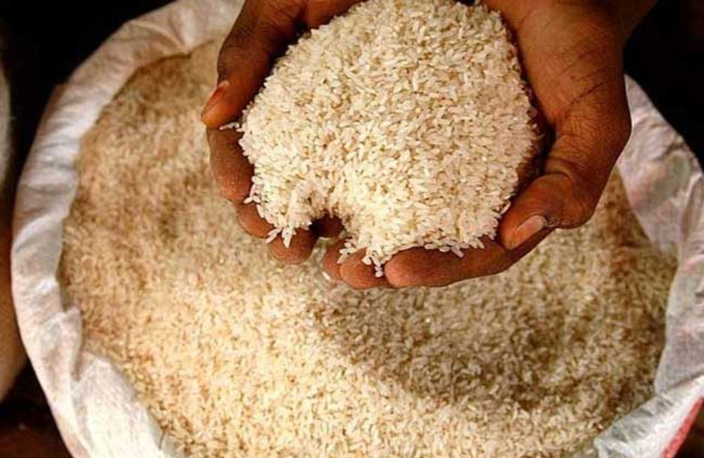 කීරි සම්බා හිඟයට පොන්නි සම්බා ආනයනය කිරීමට අනුමැතිය