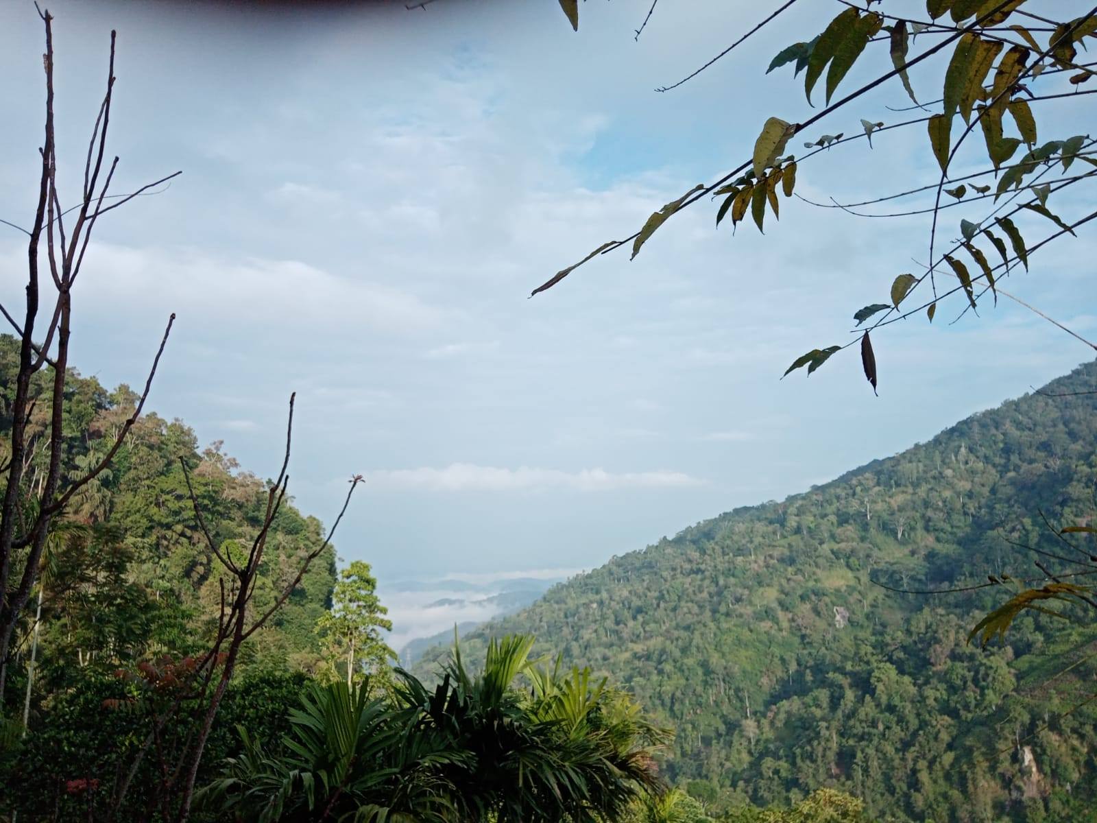 Kvis hideaway සඳලුතලයේ සිට 01