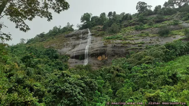 රිකිලි ඇල්ල